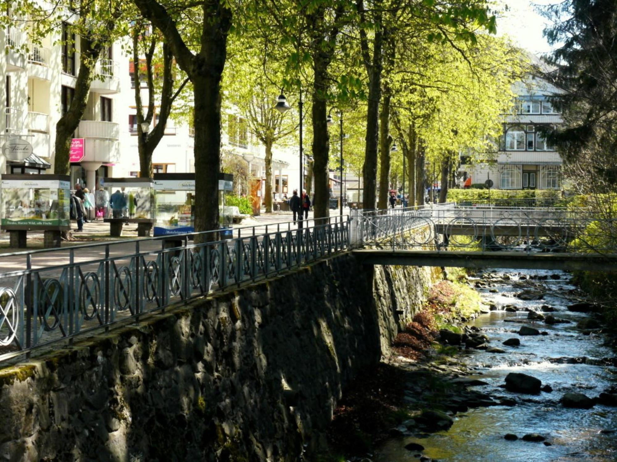 Ferienwohnung Henning Bad Harzburg Exterior foto